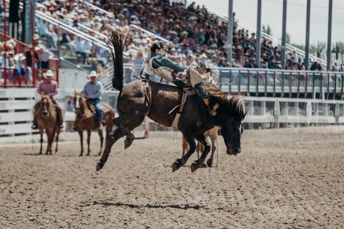 Boots, chaps and cowboy hats – it’s time for the Mount Isa rodeo